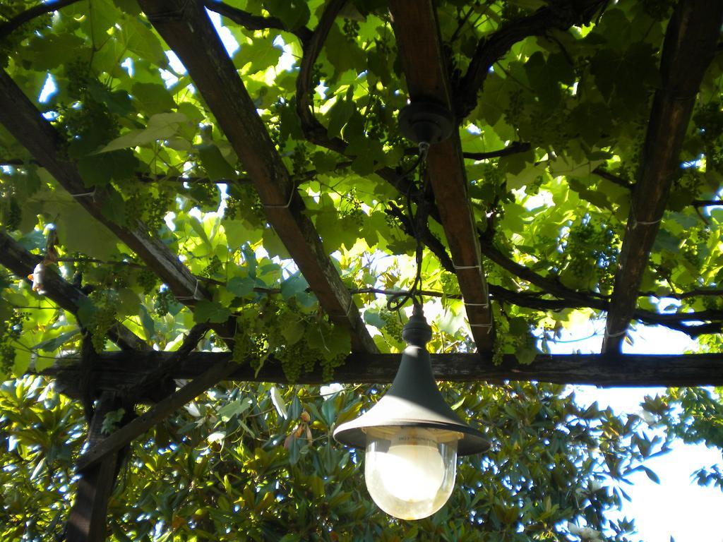 Villa Marelmy Mourésion Esterno foto